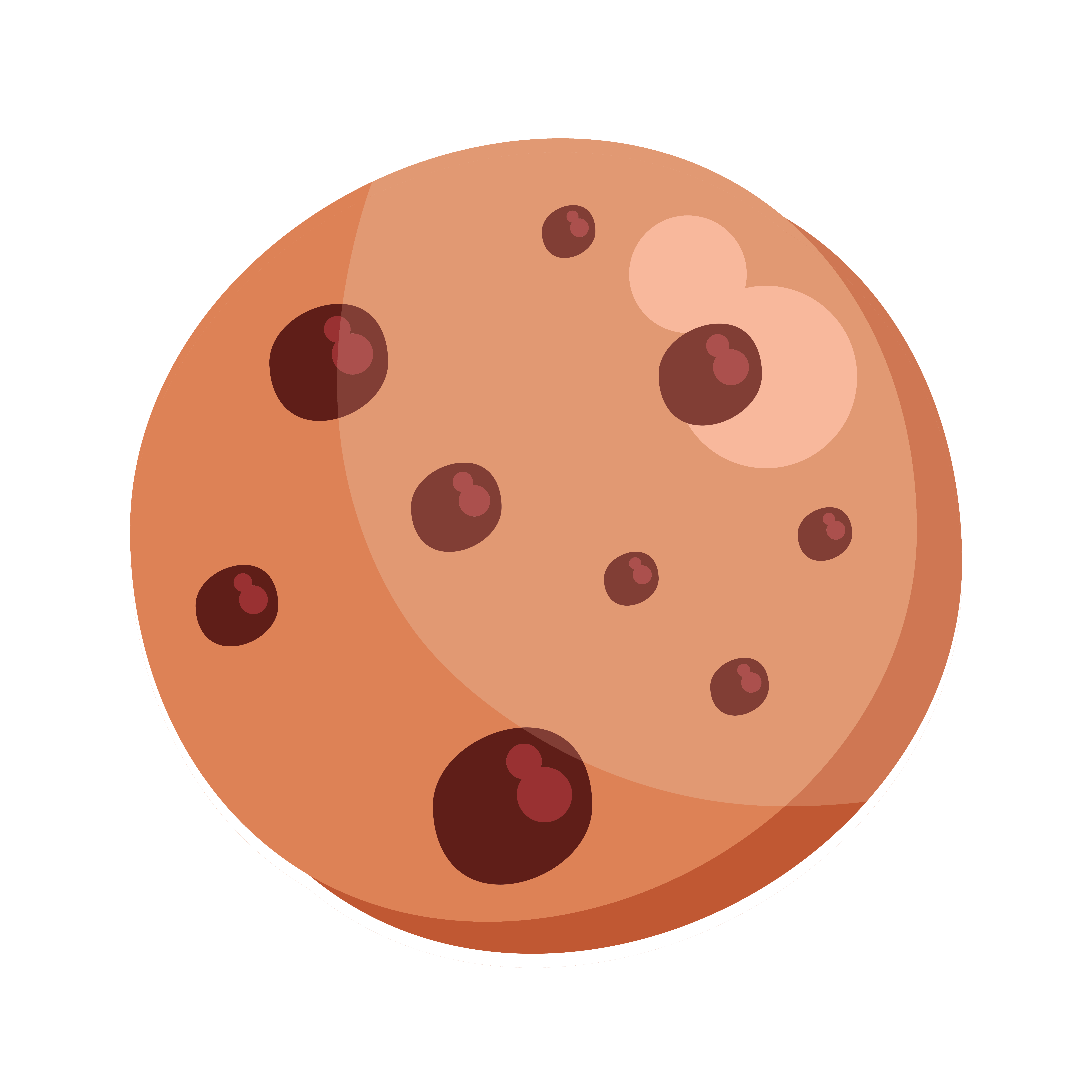 image de cookie