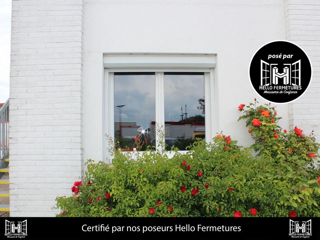 Fenêtre
